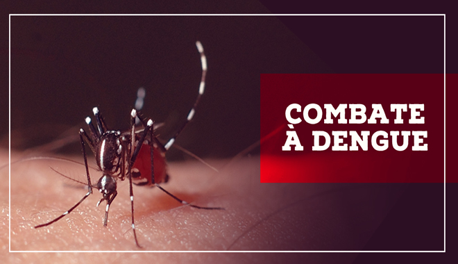 dengue_blog