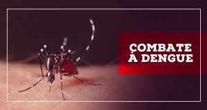 Combatendo à dengue